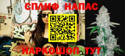 jwh Ставрополь
