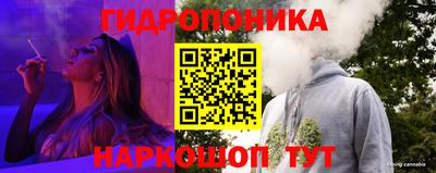 jwh Ставрополь