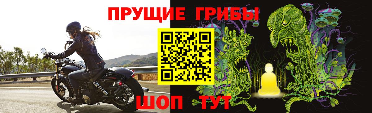 Благодарный  Псилоцибиновые грибы ЛСД  Вход с VPN 
