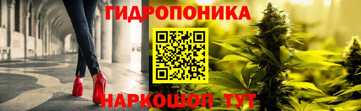 Шишки марихуана Amnesia  Шишки марихуана марихуана  Бошки Шишки White Widow  Благодарный  Вход с VPN  Бошки марихуана марихуана 